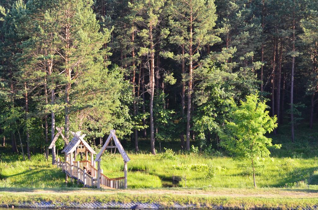 Gostynna Kit Bayun 招待所 Teterivka